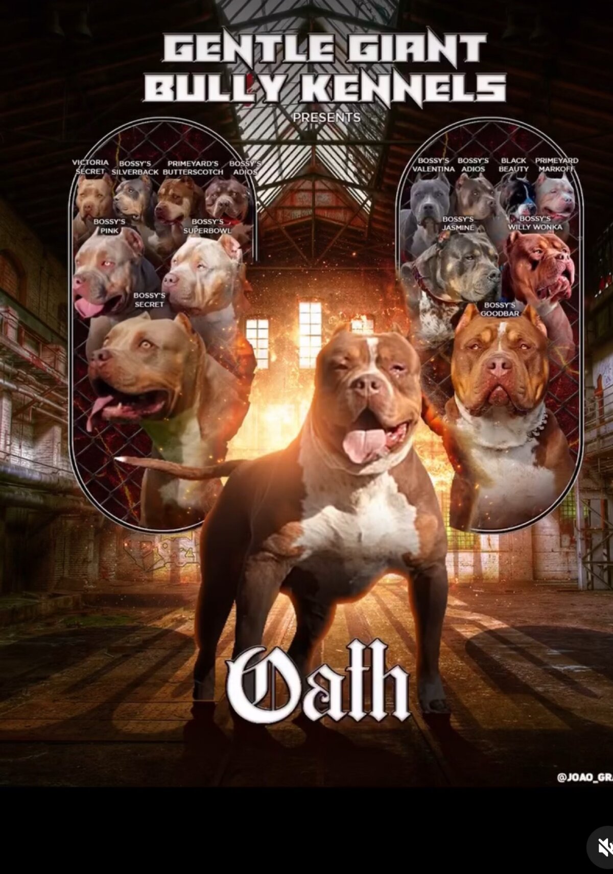 Oath Pedigree