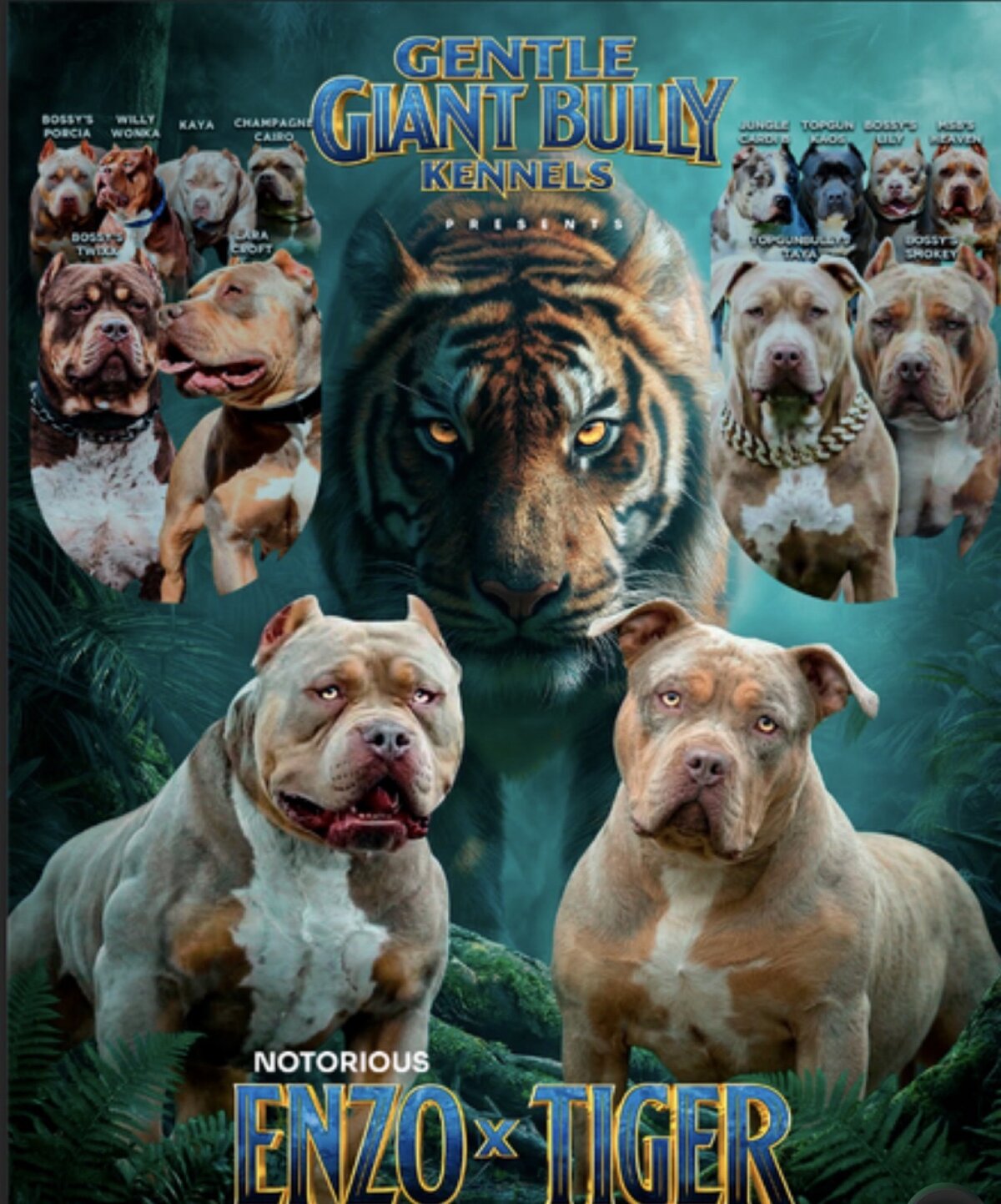 GGBK Troublesome Pedigree